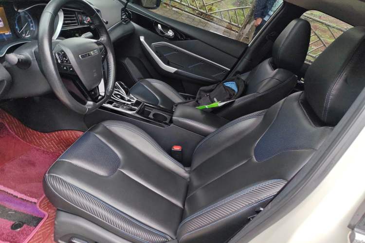Used Venucia D60EV 2019 High-Range Deluxe Edition Left Front Seat