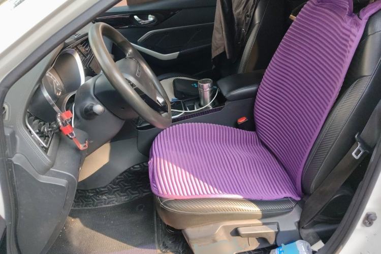 Used Venucia D60EV 2019 High-Range Travel Edition Left Front Seat