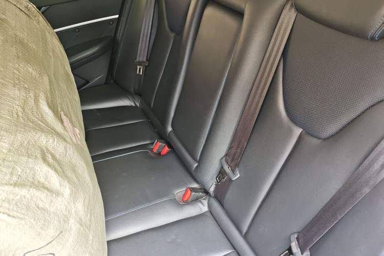 Used Venucia D60EV 2019 High-Range Deluxe Edition Left Rear Seat