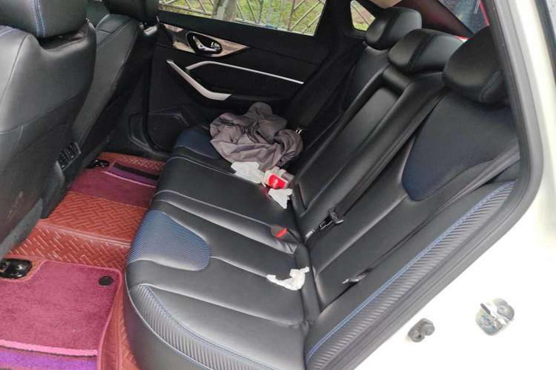 Used Venucia D60EV 2019 High-Range Deluxe Edition Left Rear Seat