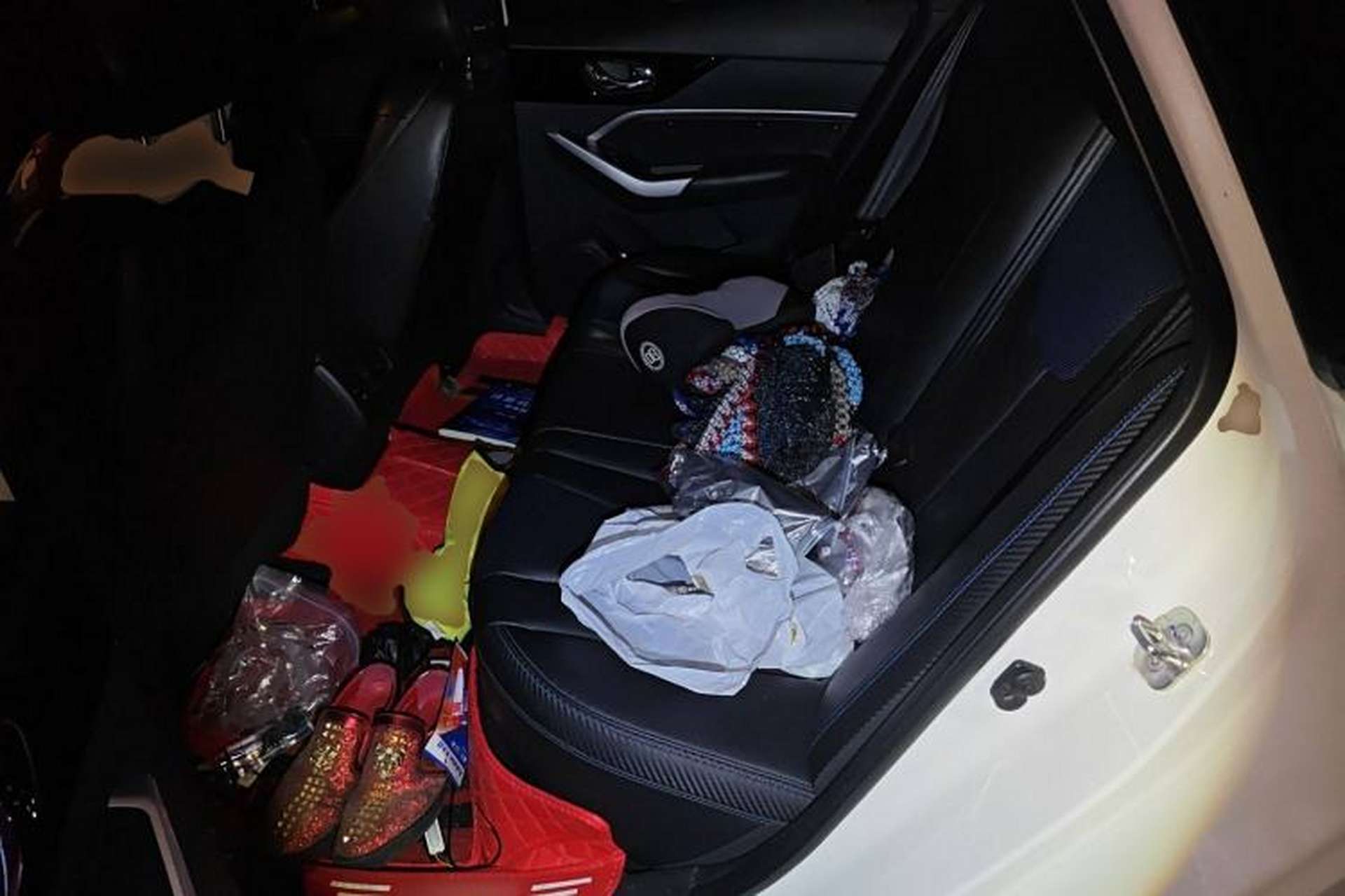 Used Venucia D60EV 2019 High-Range Travel Edition Left Rear Seat