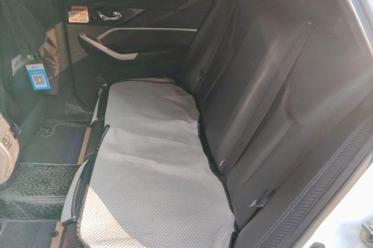 Used Venucia D60EV 2019 High-Range Travel Edition Left Rear Seat
