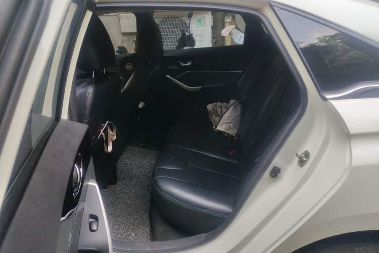 Used Venucia D60EV 2019 High-Range Travel Edition Left Rear Seat