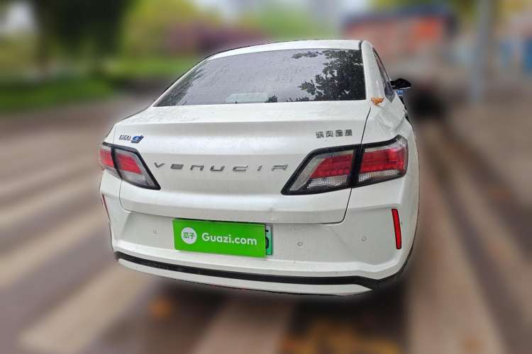 Used Venucia D60EV 2019 High-Range Deluxe Edition Rear