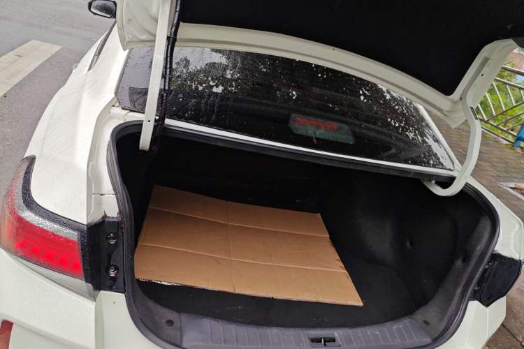 Used Venucia D60EV 2019 High-Range Deluxe Edition Trunk