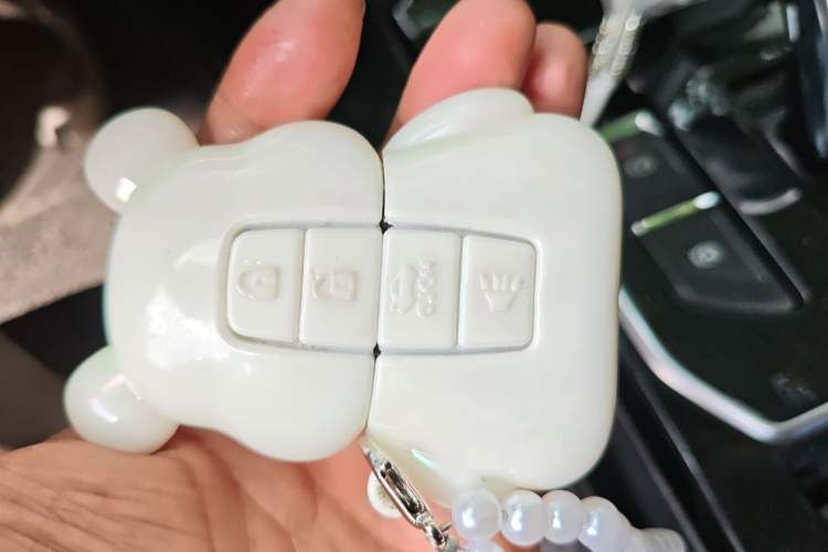 Used Venucia D60EV 2019 High-Range Deluxe Edition Vehicle Key