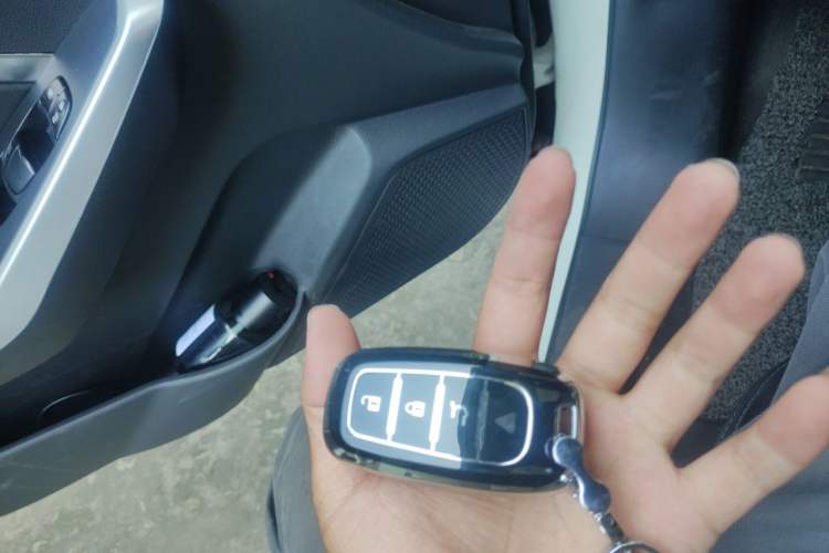 Used Venucia D60EV 2019 High-Range Travel Edition Vehicle Key