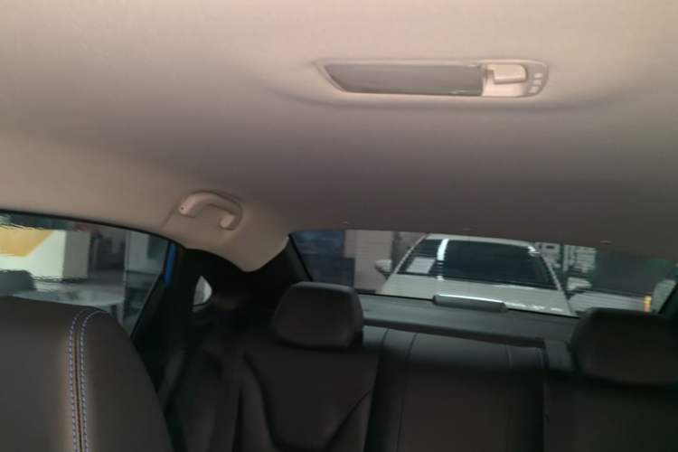Used Venucia D60EV 2020 Standard Range Smart Drive Edition Headliner