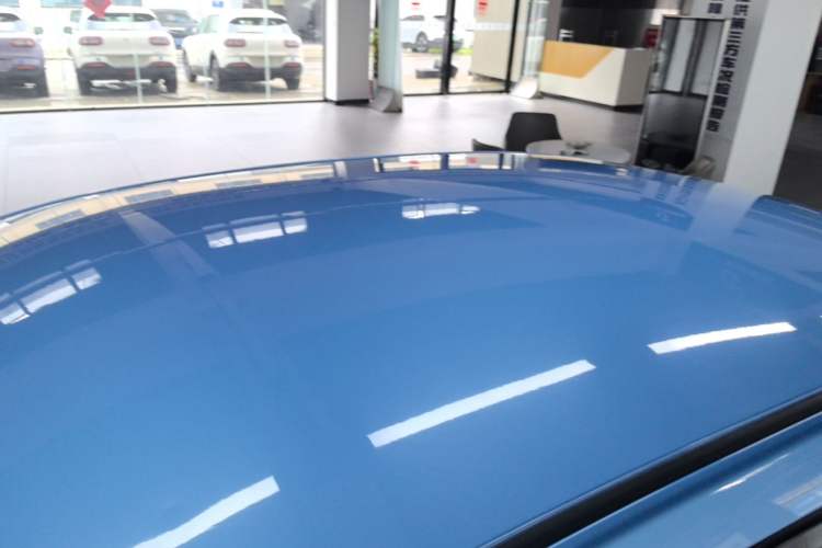 Used Venucia D60EV 2020 Standard Range Smart Drive Edition Roof