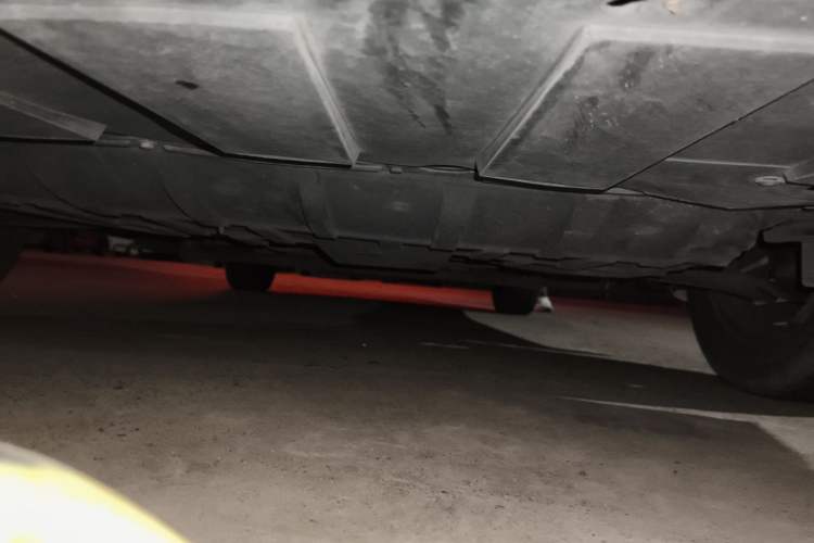 Used Venucia D60EV 2020 Standard Range T3 Chassis Front