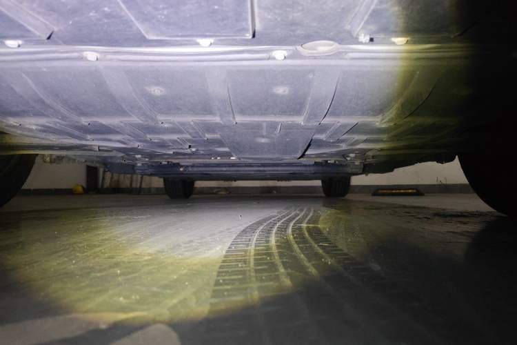 Used Venucia D60EV 2020 Standard Range Comfort Edition Chassis Front