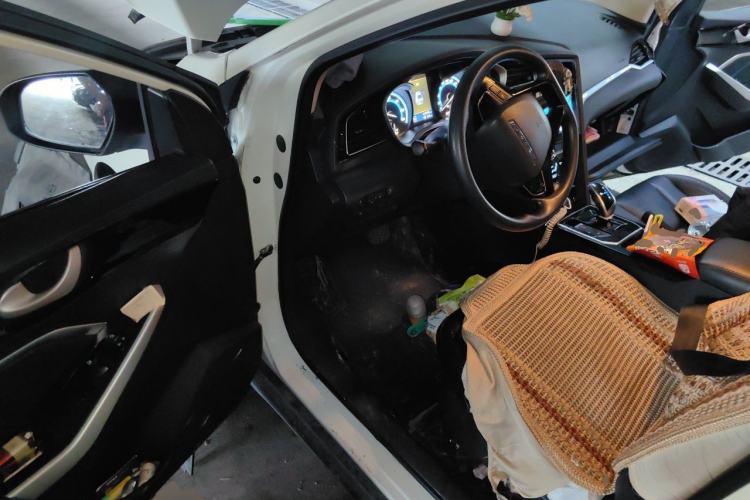 Used Venucia D60EV 2020 Standard Range Smart Drive Edition Driver Seat