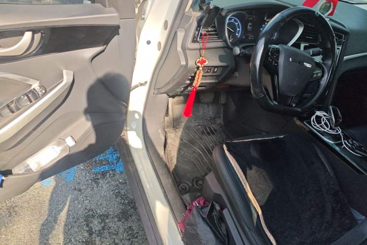 Used Venucia D60EV 2020 Standard Range T3 Driver Seat