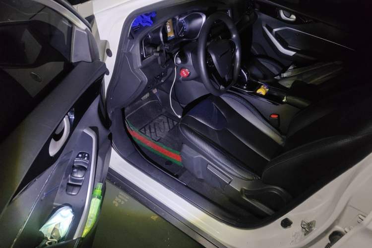 Used Venucia D60EV 2020 Standard Range Comfort Edition Driver Seat