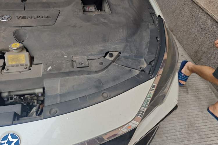 Used Venucia D60EV 2020 Standard Range T3 Engine Bay Left