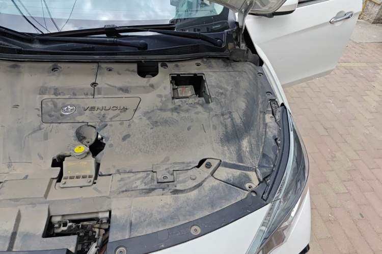 Used Venucia D60EV 2020 Standard Range Smart Drive Edition Engine Bay Left
