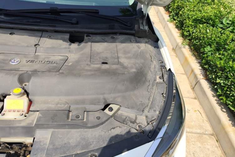 Used Venucia D60EV 2020 Standard Range Smart Drive Edition Engine Bay Left
