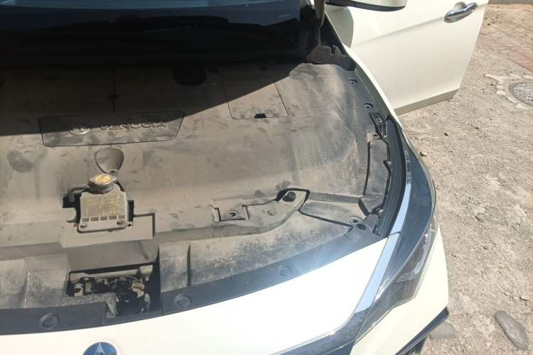 Used Venucia D60EV 2020 Standard Range Smart Drive Edition Engine Bay Left