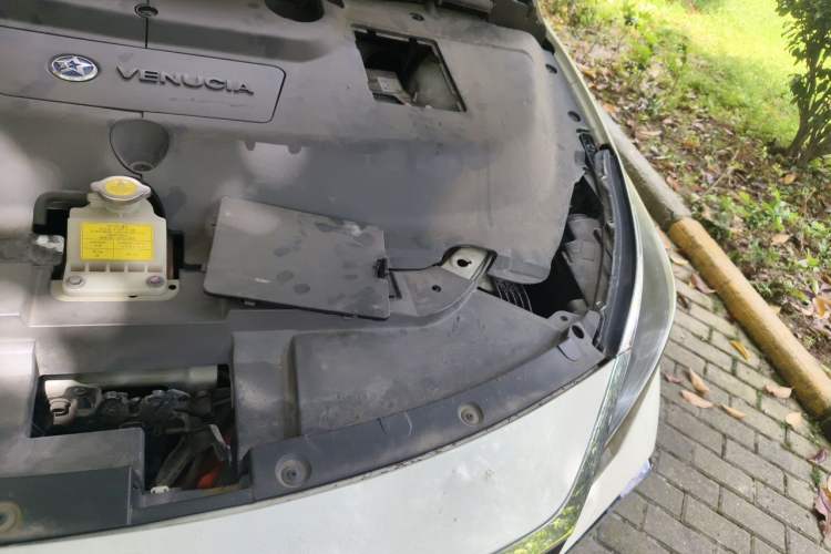 Used Venucia D60EV 2020 Standard Range T3 Engine Bay Left