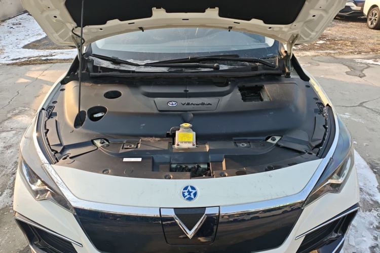 Used Venucia D60EV 2020 Standard Range T3 Engine Bay