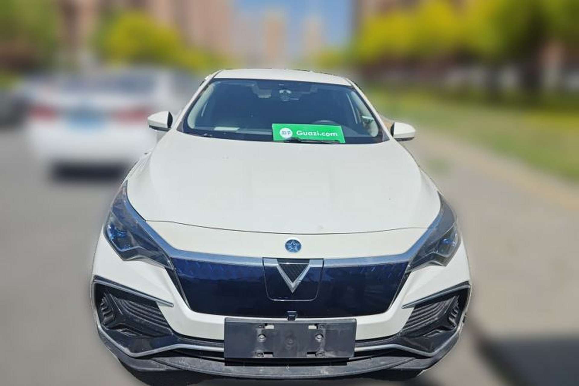 Used Venucia D60EV 2020 Standard Range T3 Front