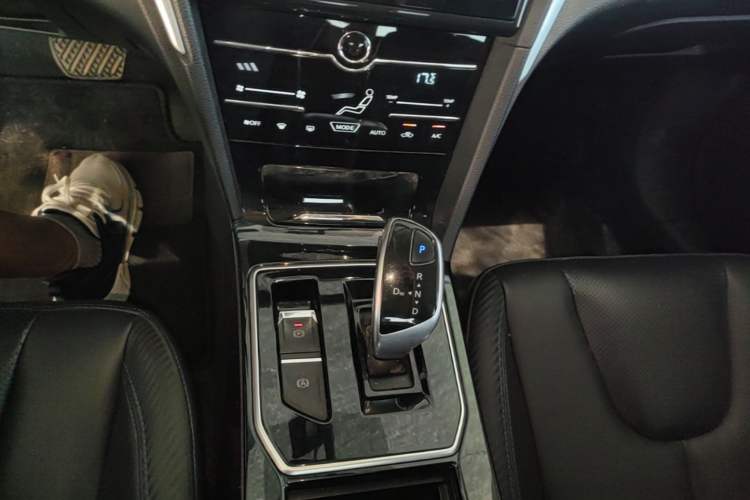 Used Venucia D60EV 2020 Standard Range Smart Drive Edition Gear Lever