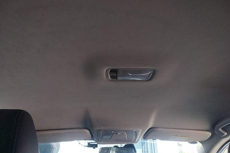 Used Venucia D60EV  Headliner