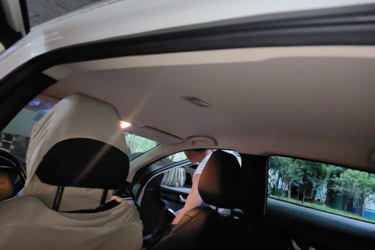 Used Venucia D60EV 2020 Standard Range Smart Drive Edition Headliner