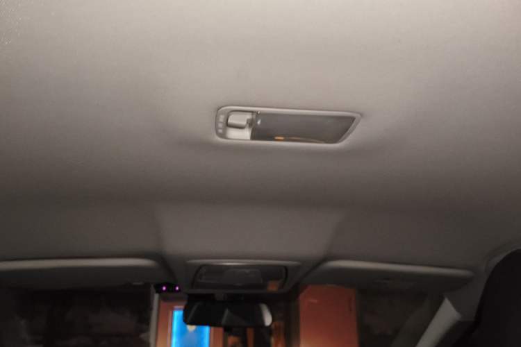 Used Venucia D60EV 2020 Standard Range T3 Headliner