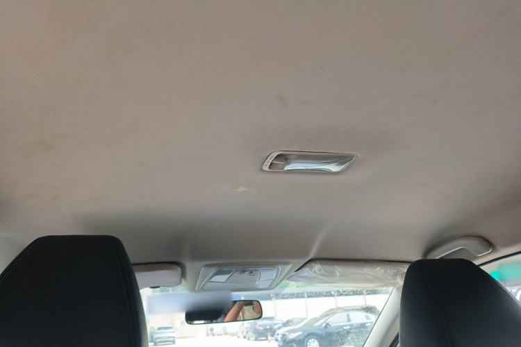 Used Venucia D60EV 2020 Standard Range T3 Headliner