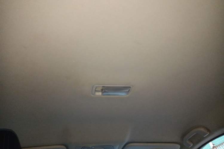 Used Venucia D60EV 2020 Standard Range Smart Drive Edition Headliner