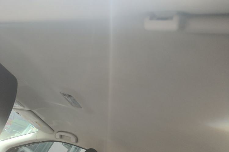 Used Venucia D60EV 2020 Standard Range Smart Drive Edition Headliner