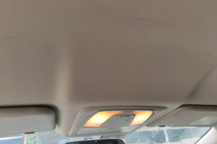 Used Venucia D60EV 2020 Standard Range Smart Drive Edition Headliner