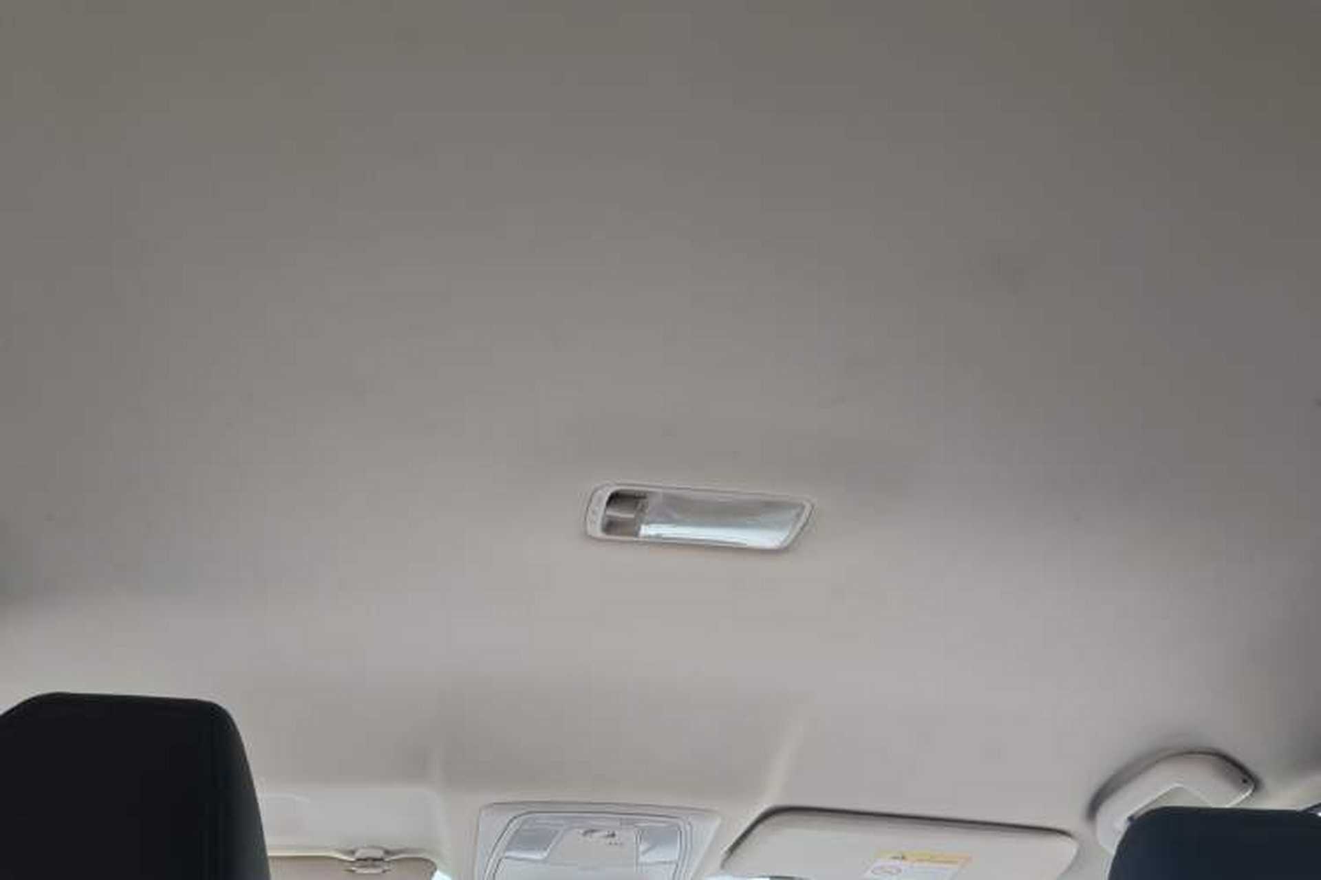 Used Venucia D60EV 2020 Standard Range Smart Drive Edition Headliner