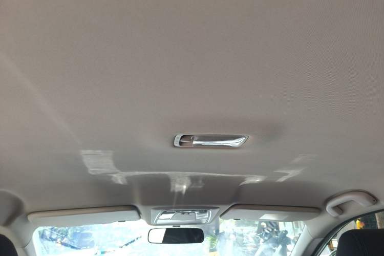 Used Venucia D60EV 2020 Standard Range Smart Drive Edition Headliner