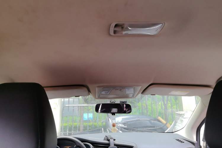 Used Venucia D60EV 2020 Standard Range Smart Drive Edition Headliner