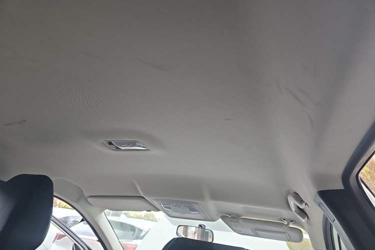 Used Venucia D60EV 2020 Standard Range Smart Drive Edition Headliner