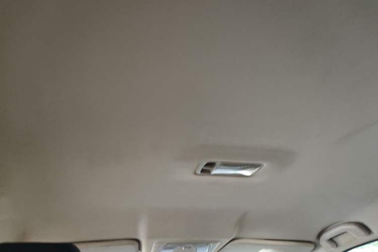Used Venucia D60EV 2020 Standard Range Smart Drive Edition Headliner