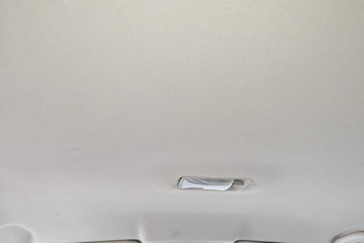 Used Venucia D60EV 2020 Standard Range Smart Drive Edition Headliner