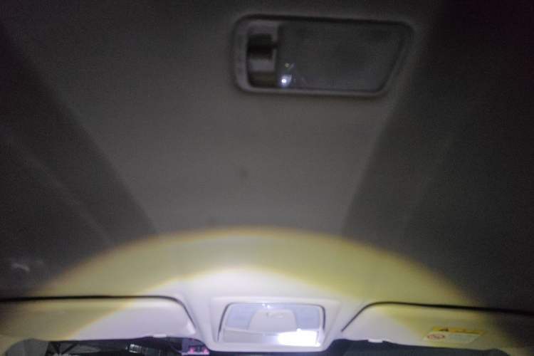 Used Venucia D60EV 2020 Standard Range Comfort Edition Headliner