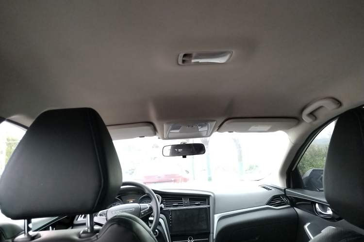 Used Venucia D60EV 2020 Standard Range Smart Drive Edition Headliner