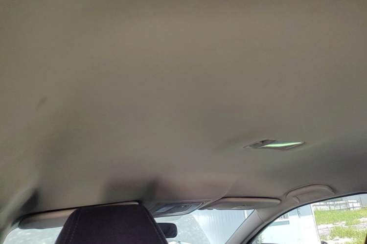 Used Venucia D60EV 2020 Standard Range Smart Drive Edition Headliner