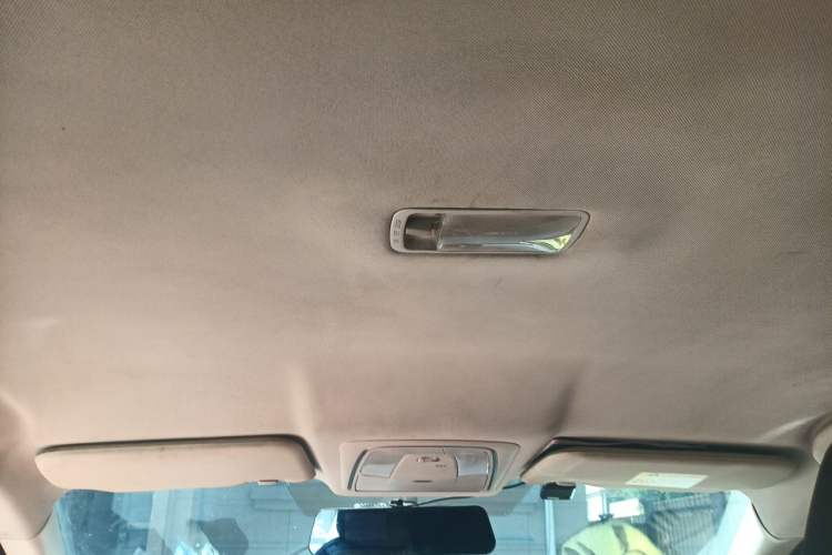 Used Venucia D60EV 2020 Standard Range Smart Drive Edition Headliner
