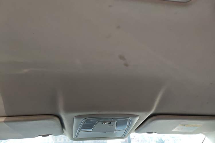 Used Venucia D60EV 2020 Standard Range Smart Drive Edition Headliner