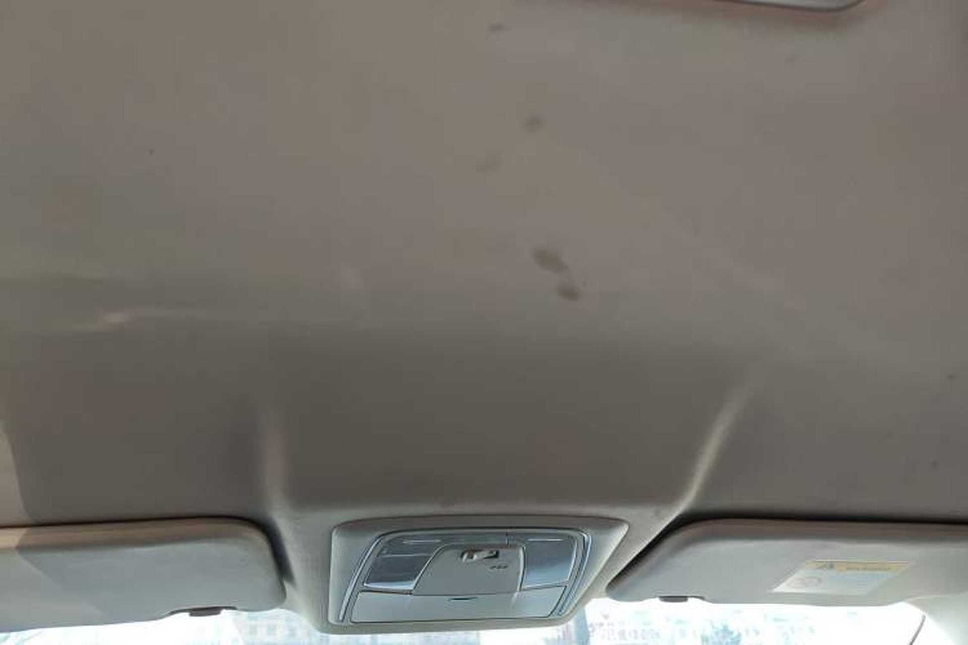 Used Venucia D60EV 2020 Standard Range Smart Drive Edition Headliner