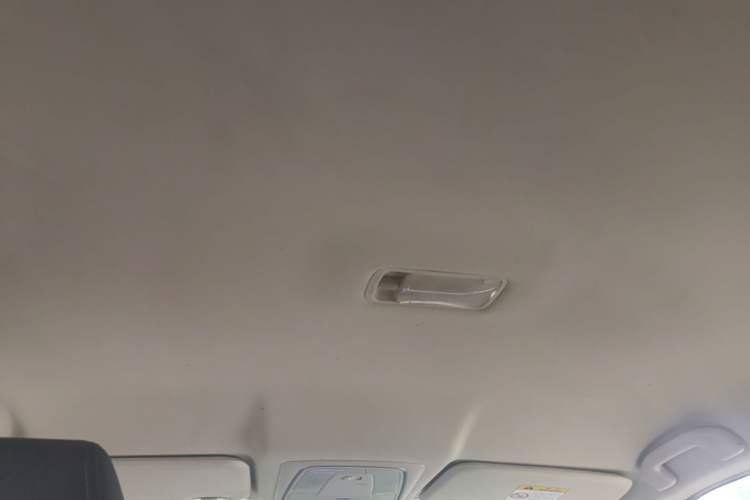 Used Venucia D60EV 2020 Standard Range Smart Drive Edition Headliner