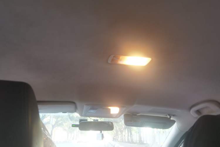 Used Venucia D60EV 2020 Standard Range Smart Drive Edition Headliner