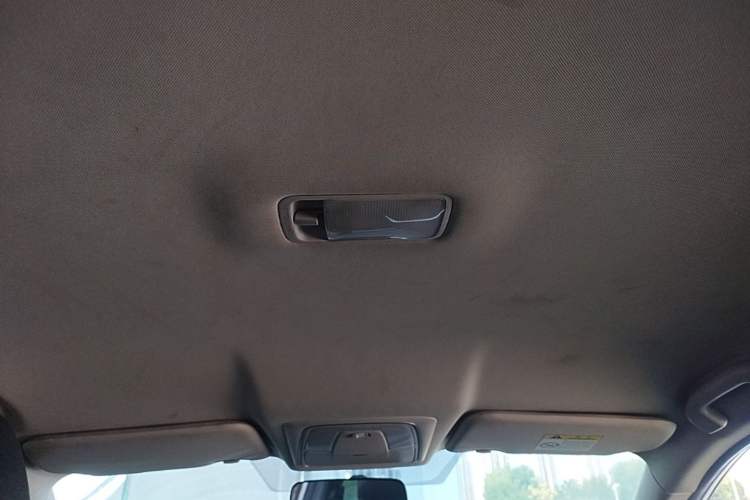Used Venucia D60EV 2020 Standard Range Smart Drive Edition Headliner