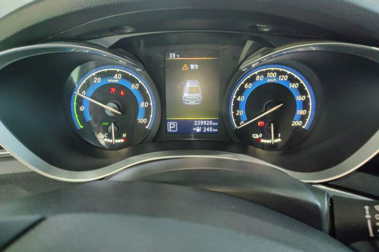 Used Venucia D60EV 2020 Standard Range Smart Drive Edition Instrument Cluster