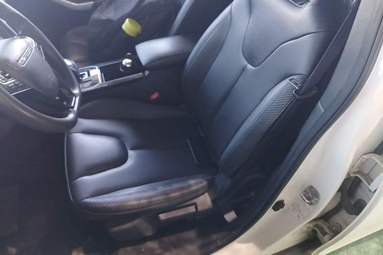 Used Venucia D60EV  Left Front Seat